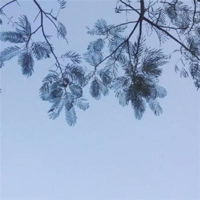 末日世界后天腾讯正版下载